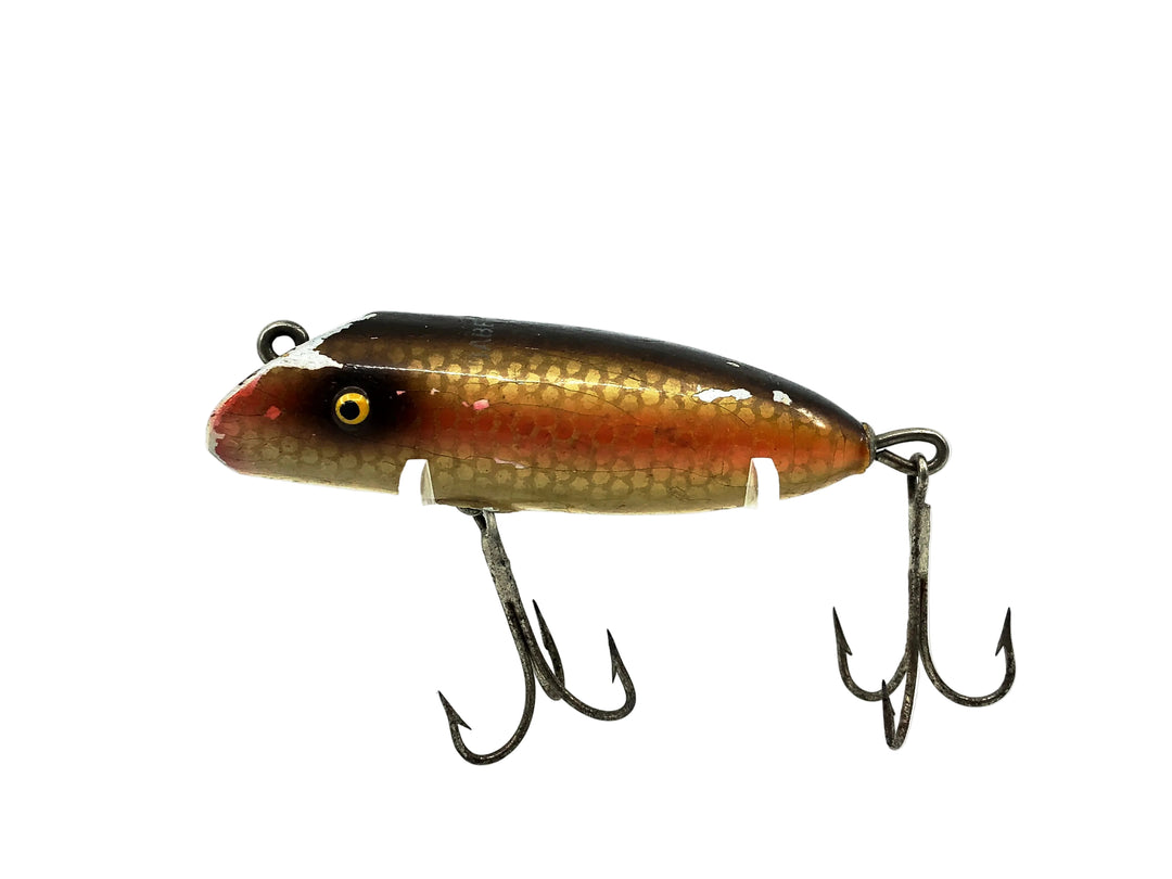 South Bend Babe-Oreno, RSF Scale Finish w/ Red Blend Color