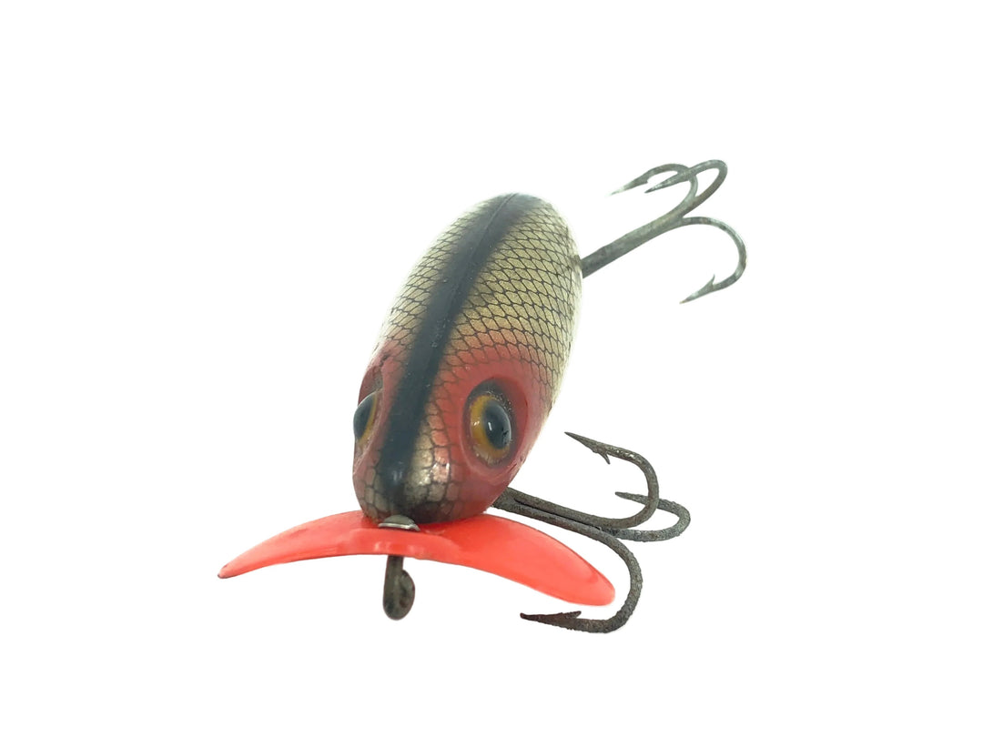 Arbogast Plastic Lip Jitterbug 1940's WWII Era, Shad Color - War Bug, Great Condition!