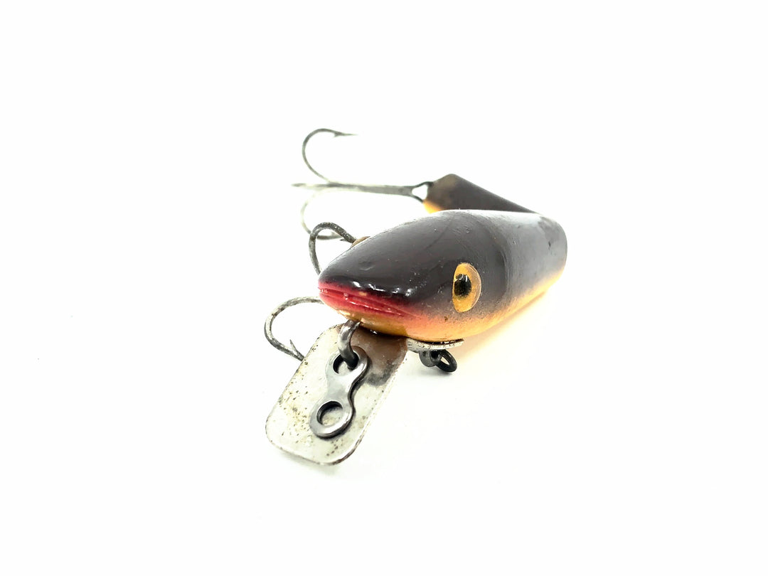 L & S Baby Cat 7588, #88 Brown/Yellow Belly Color