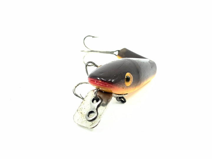 L & S Baby Cat 7588, #88 Brown/Yellow Belly Color