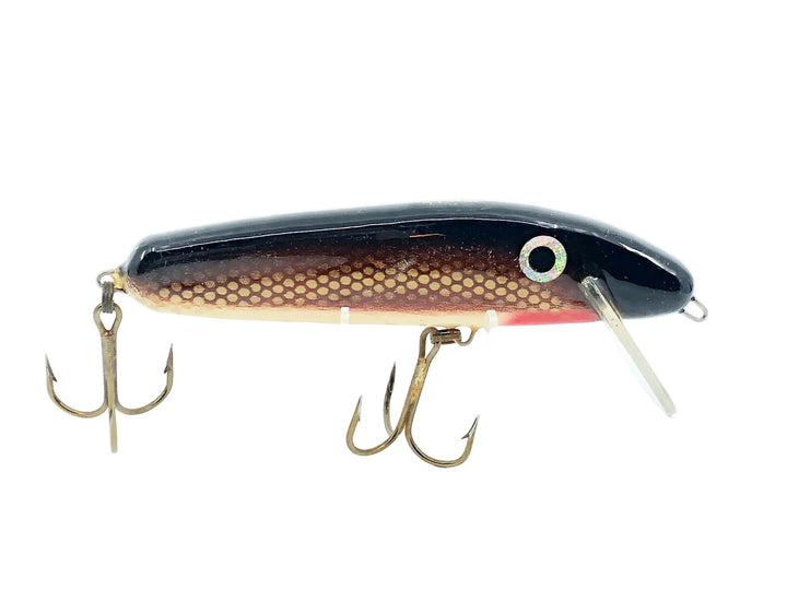 Big Game Tackle 6" Twitch, Red/Gold Scale/Black Back Color