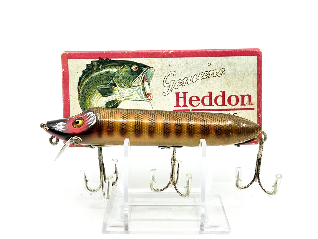 Heddon Vamp 7500, 9M Pike Color w/Up Leaping Bass Box, L-Rig Hardware