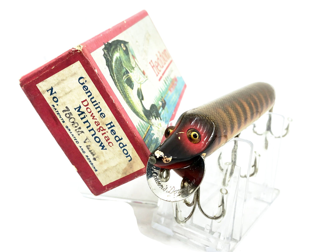 Heddon Vamp 7500, 9M Pike Color w/Up Leaping Bass Box, L-Rig Hardware