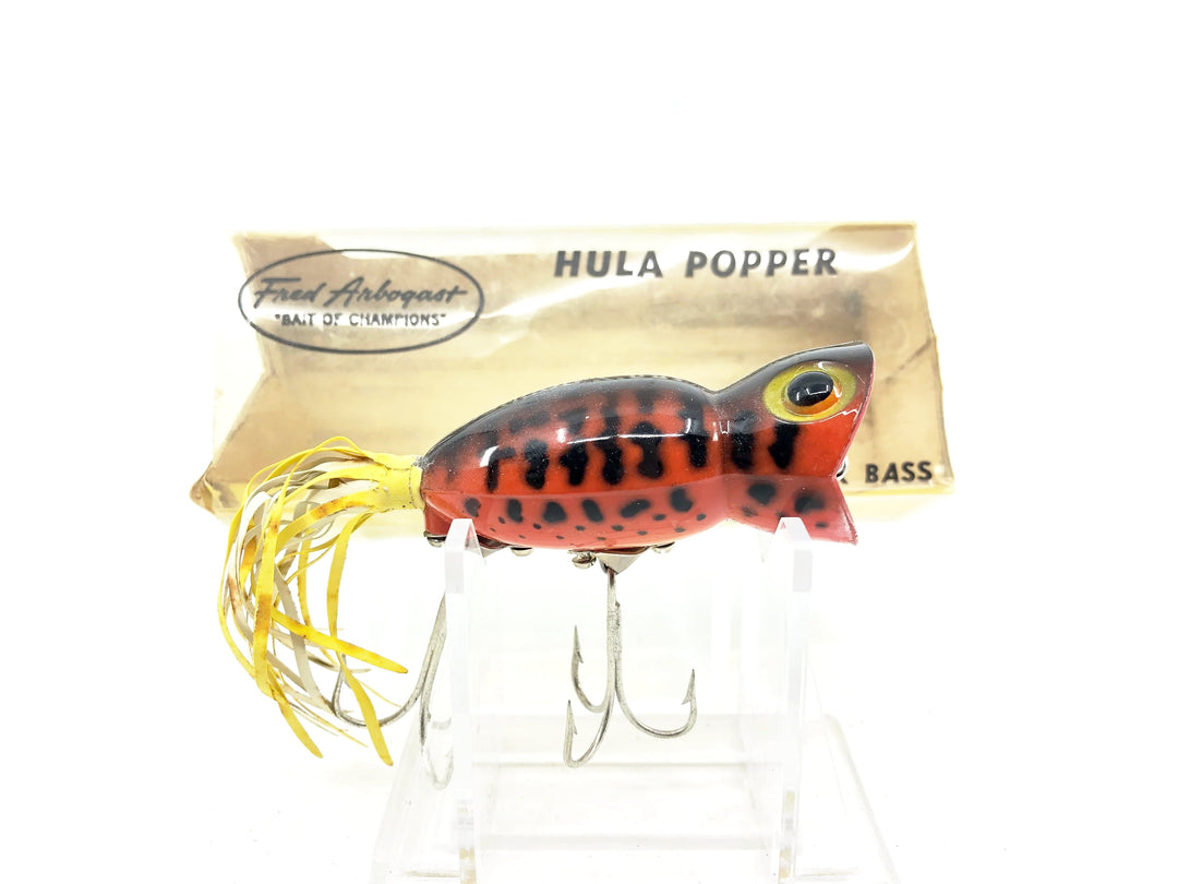 Arbogast Hula Popper 750 #14, Orange Coachdog Color w/Box