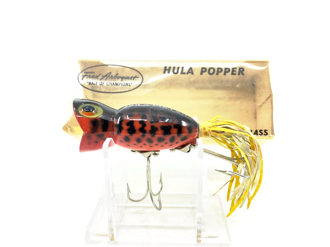 Arbogast Hula Popper 750 #14, Orange Coachdog Color w/Box