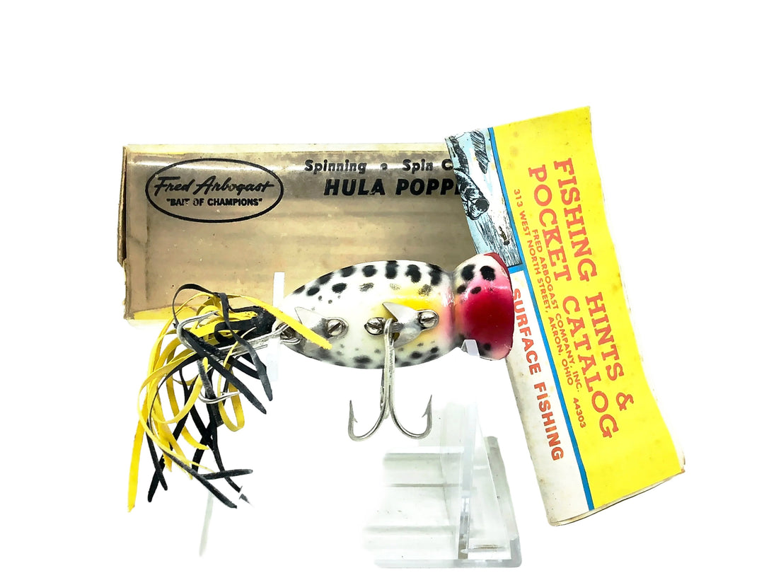 Arbogast Hula Popper 760, #10 Coachdog Color w/Box & Catalog