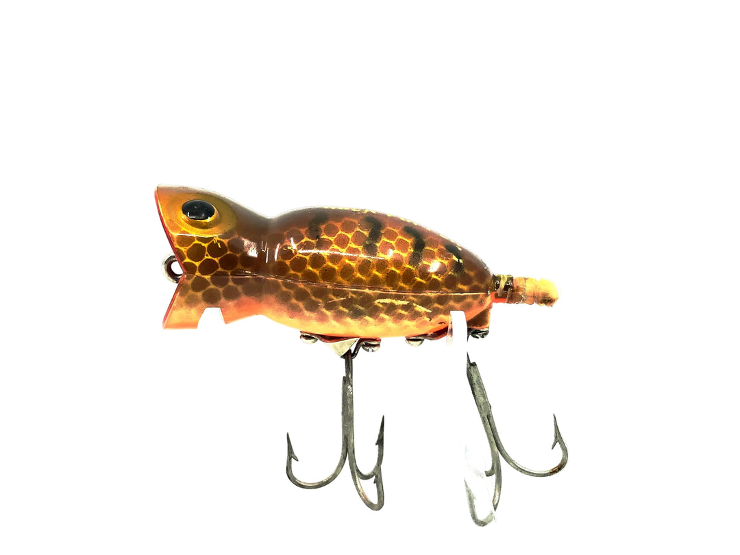 Arbogast Hula Popper 750, #135 Brown Parrot Color