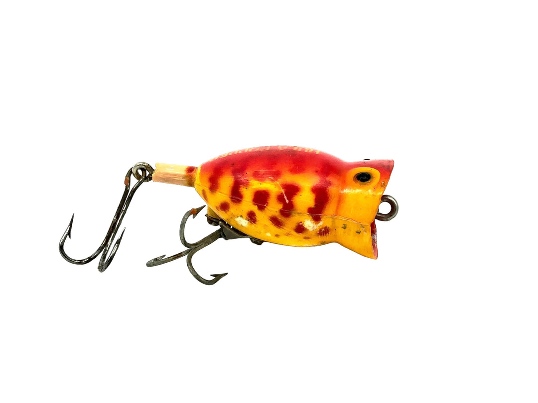 Arbogast Hula Popper 770, #12 Red Coachdog Color