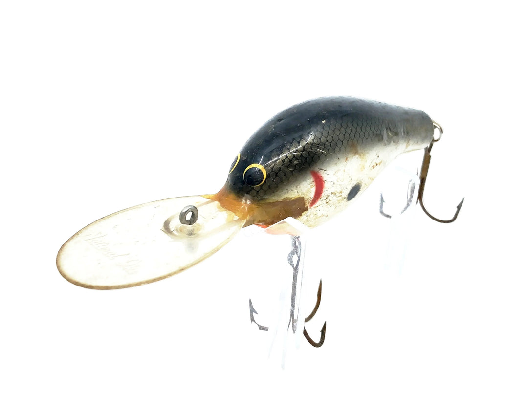 Bagley Diving B3 DB3-TSO, Tennessee Shad Color w/Natural Ike Lip