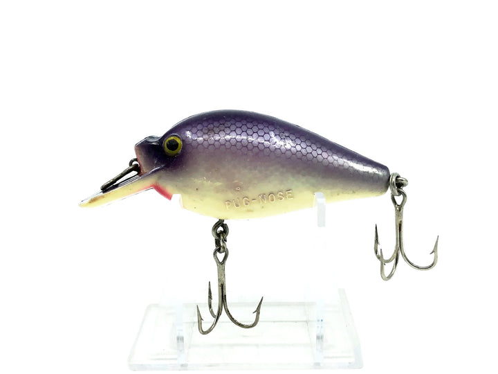 Arbogast Pug-Nose, Purple Scale Color