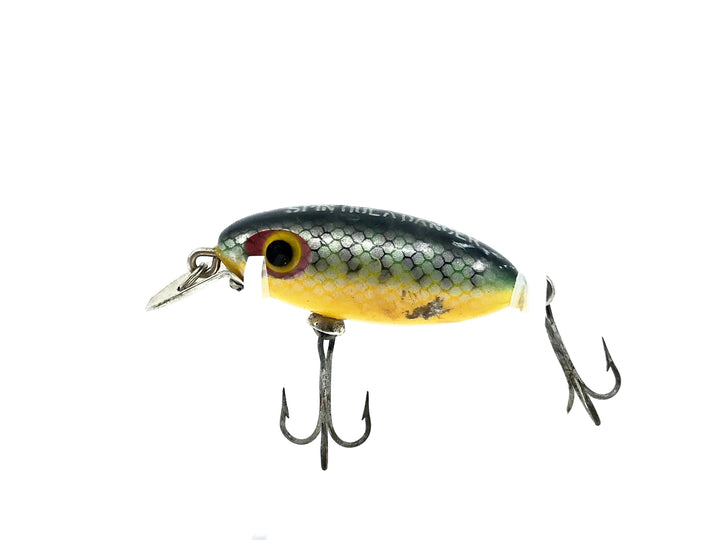 Arbogast Spin Hula Dancer, Perch Color