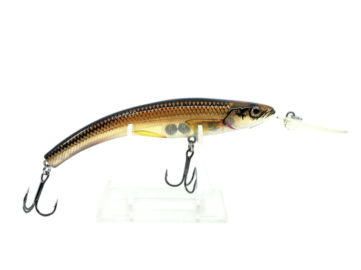 Koppers Live Target Diving Smelt, Gold/Black Color w/Box