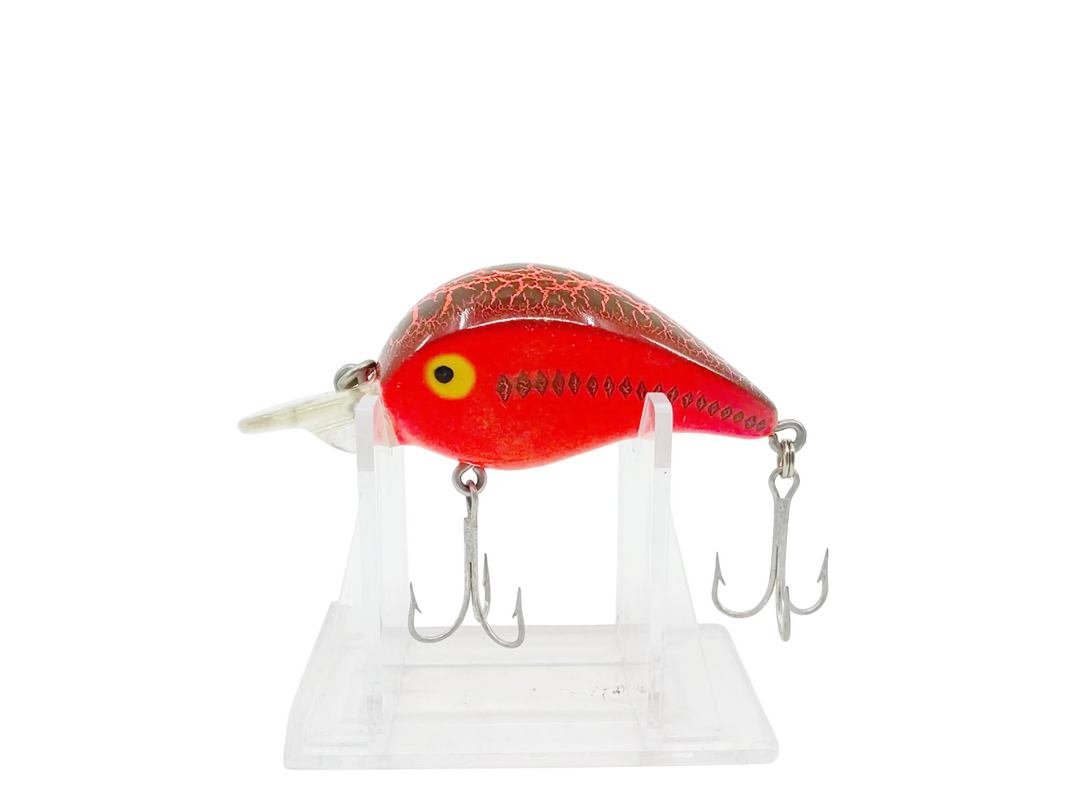 Heddon Hedd Hunter Shallow Diver CBO Color