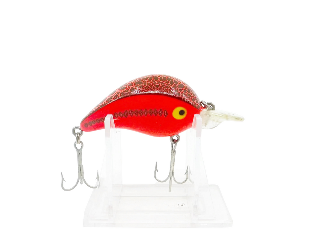Heddon Hedd Hunter Shallow Diver CBO Color