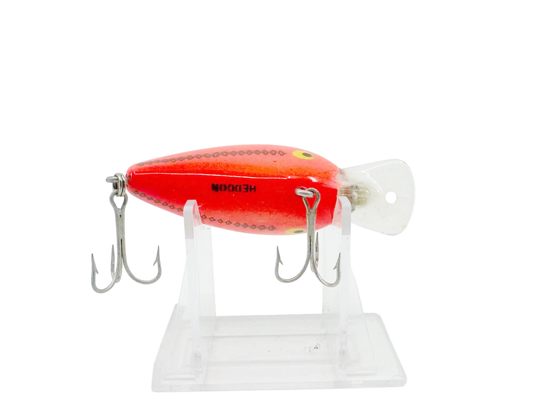 Heddon Hedd Hunter Shallow Diver CBO Color