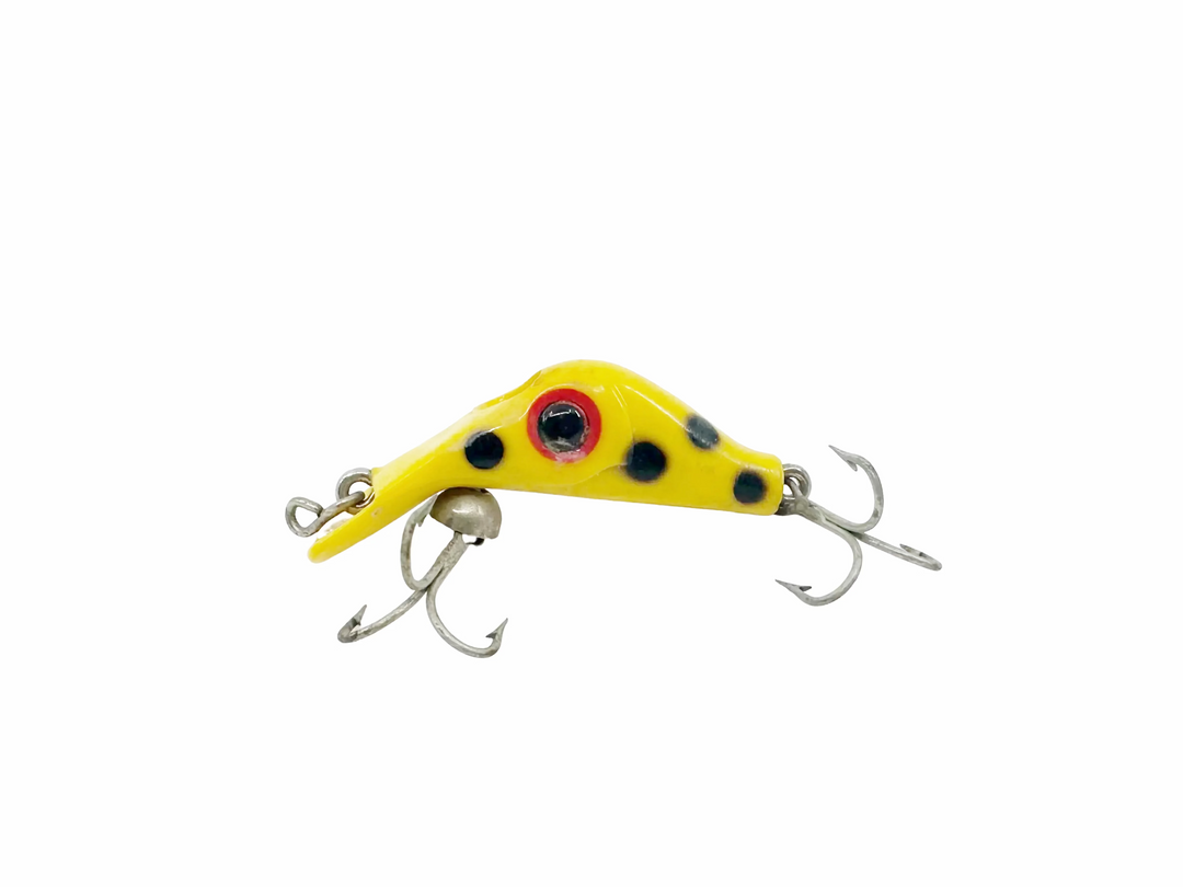 Tony Accetta Yellow with Black Spots Hollo Head
