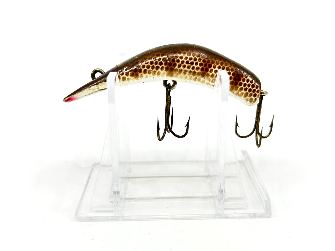 Lazy Ike 2 Brown Scale Color