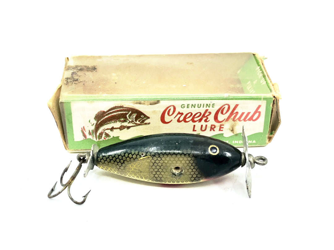 Creek Chub 9500 Spinning Injured Minnow, Perch Scale Color 9501