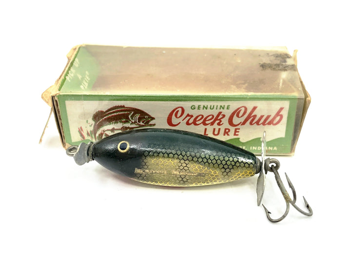 Creek Chub 9500 Spinning Injured Minnow, Perch Scale Color 9501
