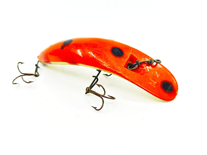 Helin Flatfish M2, Orange Top Silver Belly Color