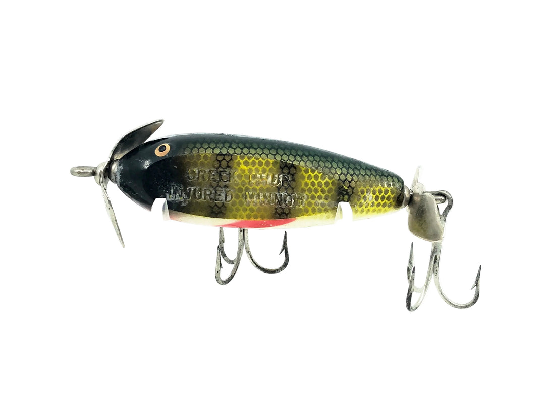 Creek Chub 1600 Baby Injured Minnow, #01 Perch Scale Color