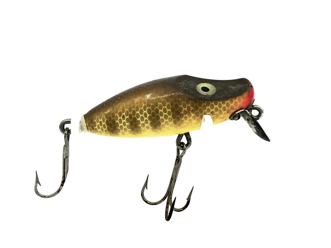 Paw Paw Lippy Joe, Pikie Color