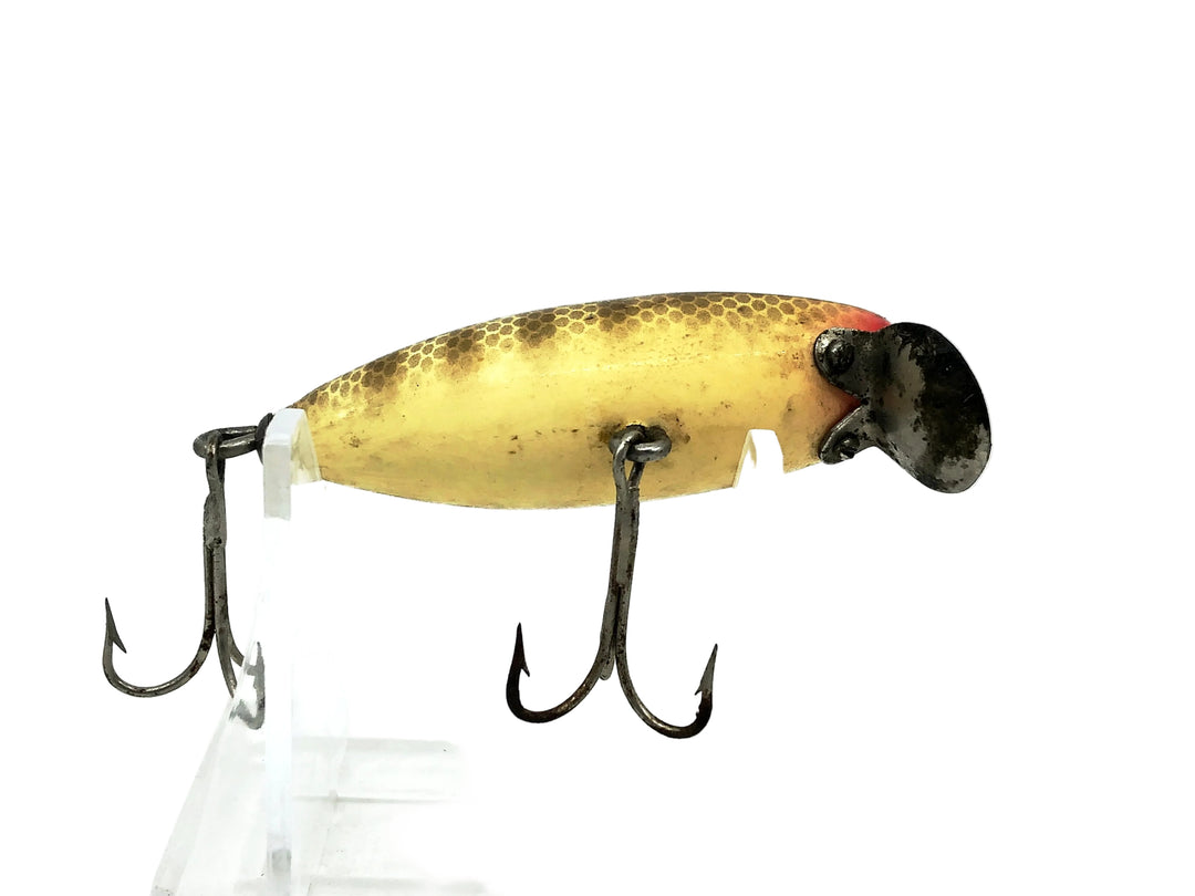 Paw Paw Lippy Joe, Pikie Color
