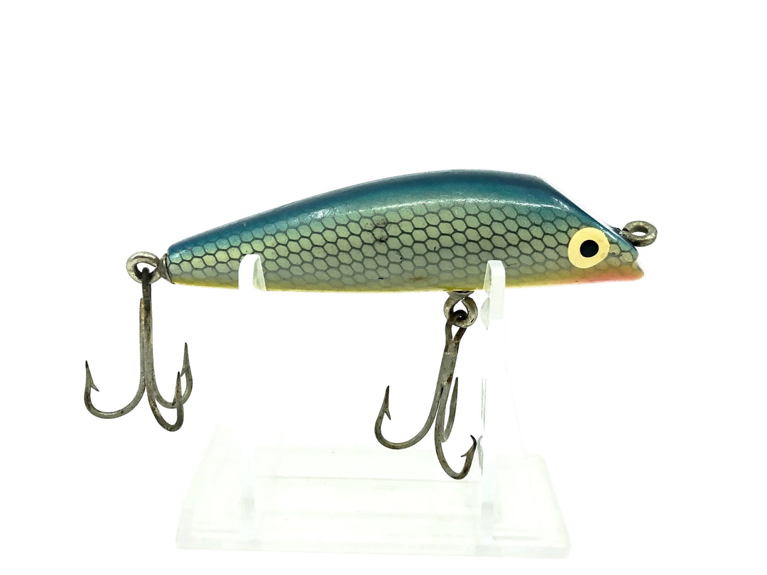 Boone Castana, Blue/Silver Scale Color