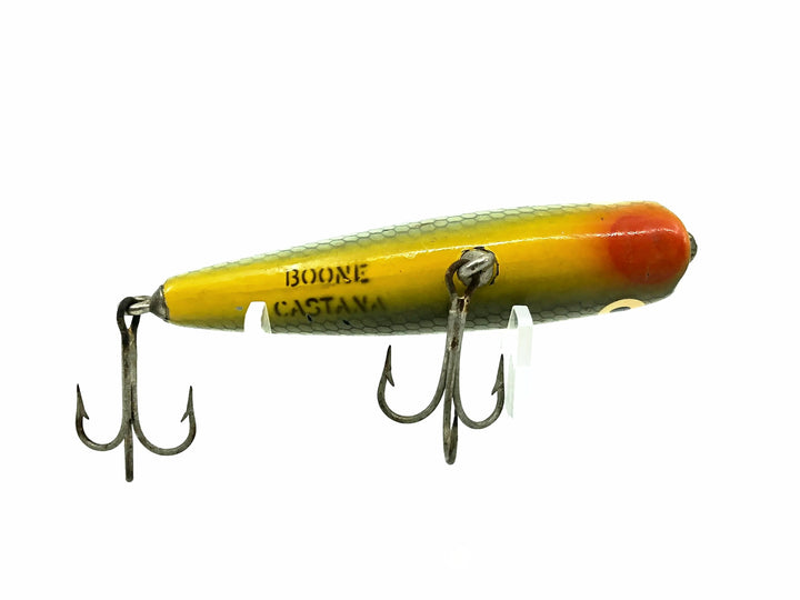 Boone Castana, Blue/Silver Scale Color