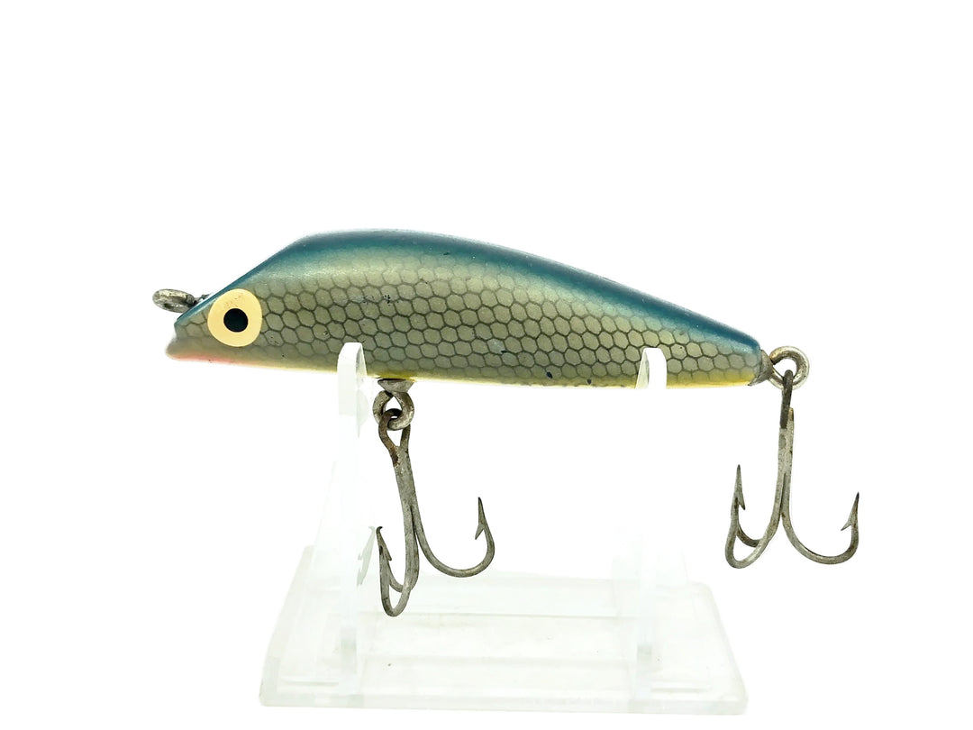 Boone Castana, Blue/Silver Scale Color