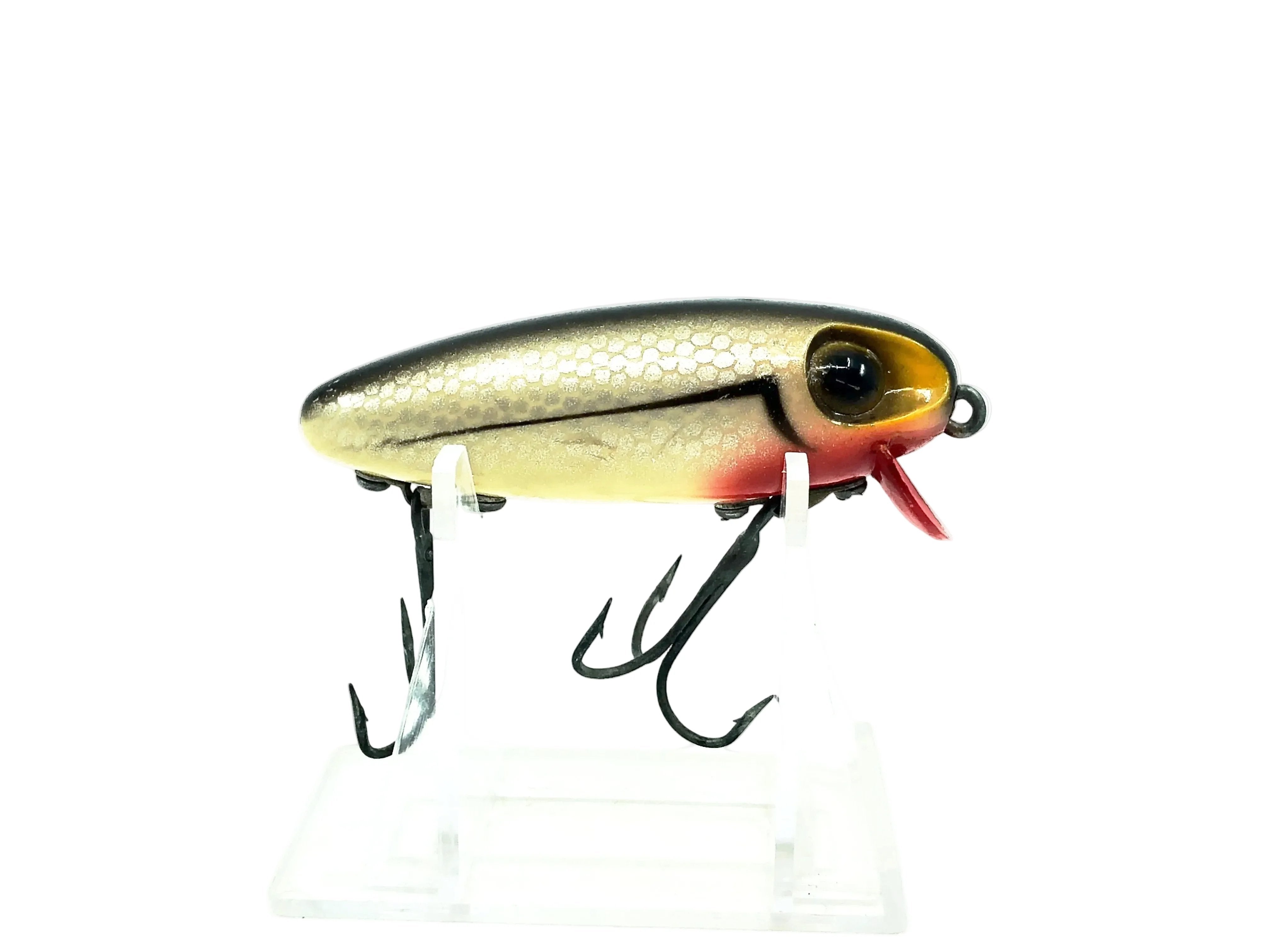 Newest Products