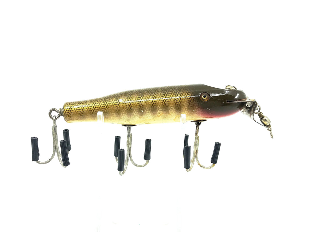 Creek Chub Snook Pikie 3400, Pikie Scale Color 3400