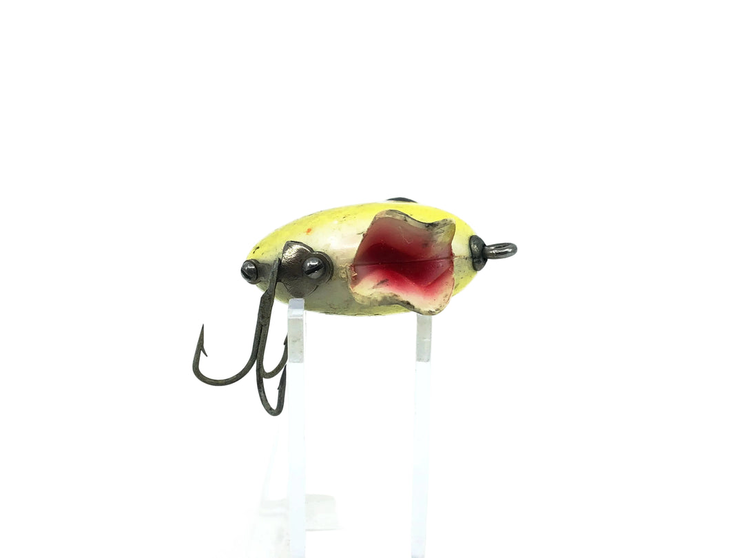 South Bend Fin Dingo YP Yellow Perch Scale Color