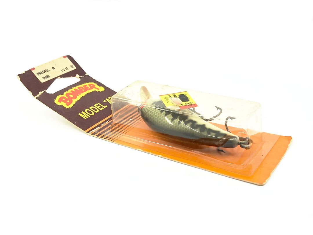 Bomber Model A 3A, BBO Baby Bass Orange Belly Color Screwtail Model on Card
