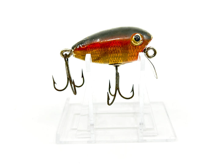 Shakespeare Grumpy, Yellow Perch Color