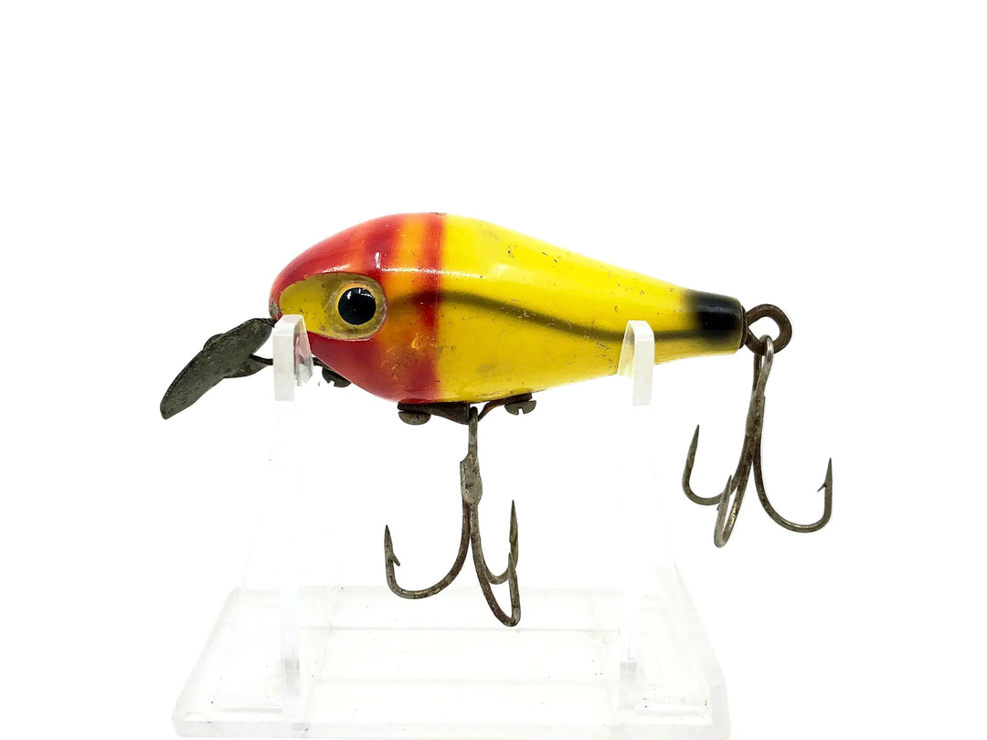 P&K Amazin Maizie, Yellow/Red Head Color