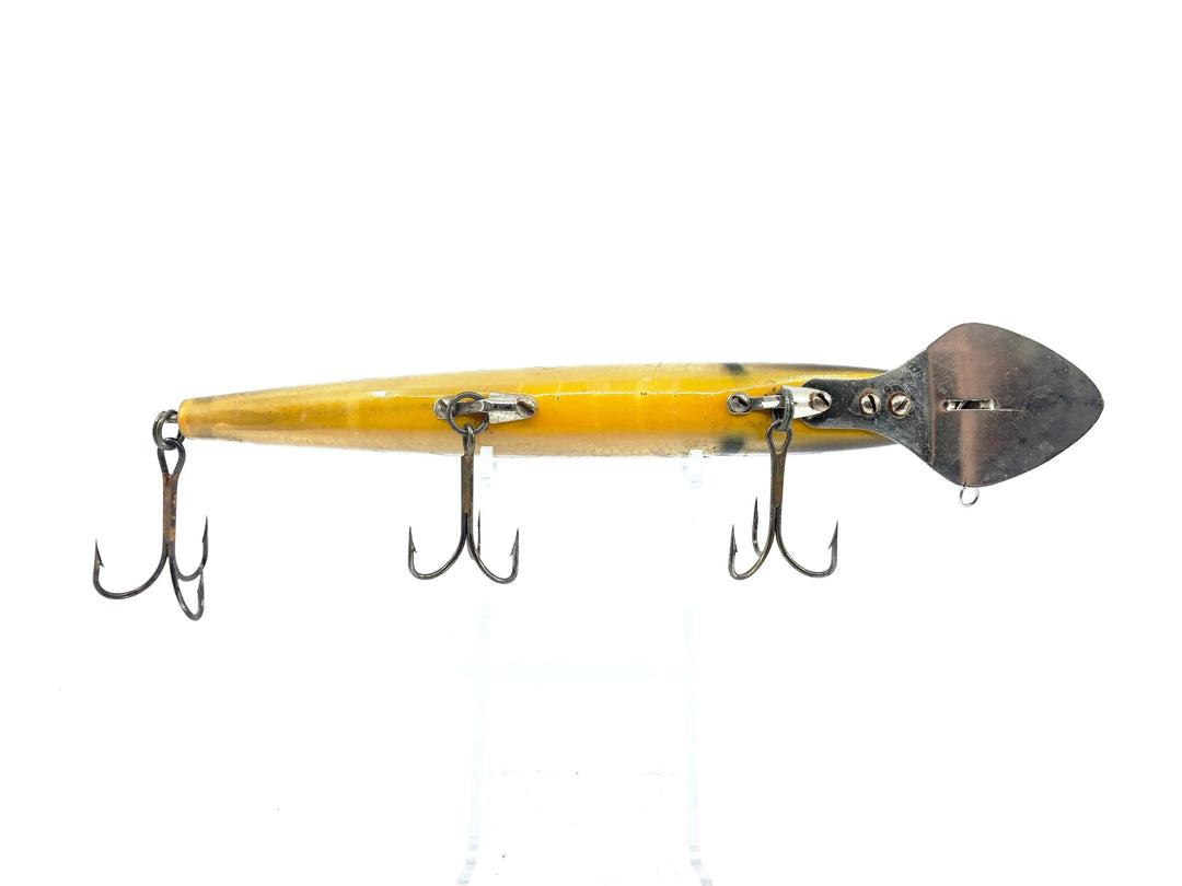 Cisco Kid 1800 Series Super Husky, Brown/Gold Color