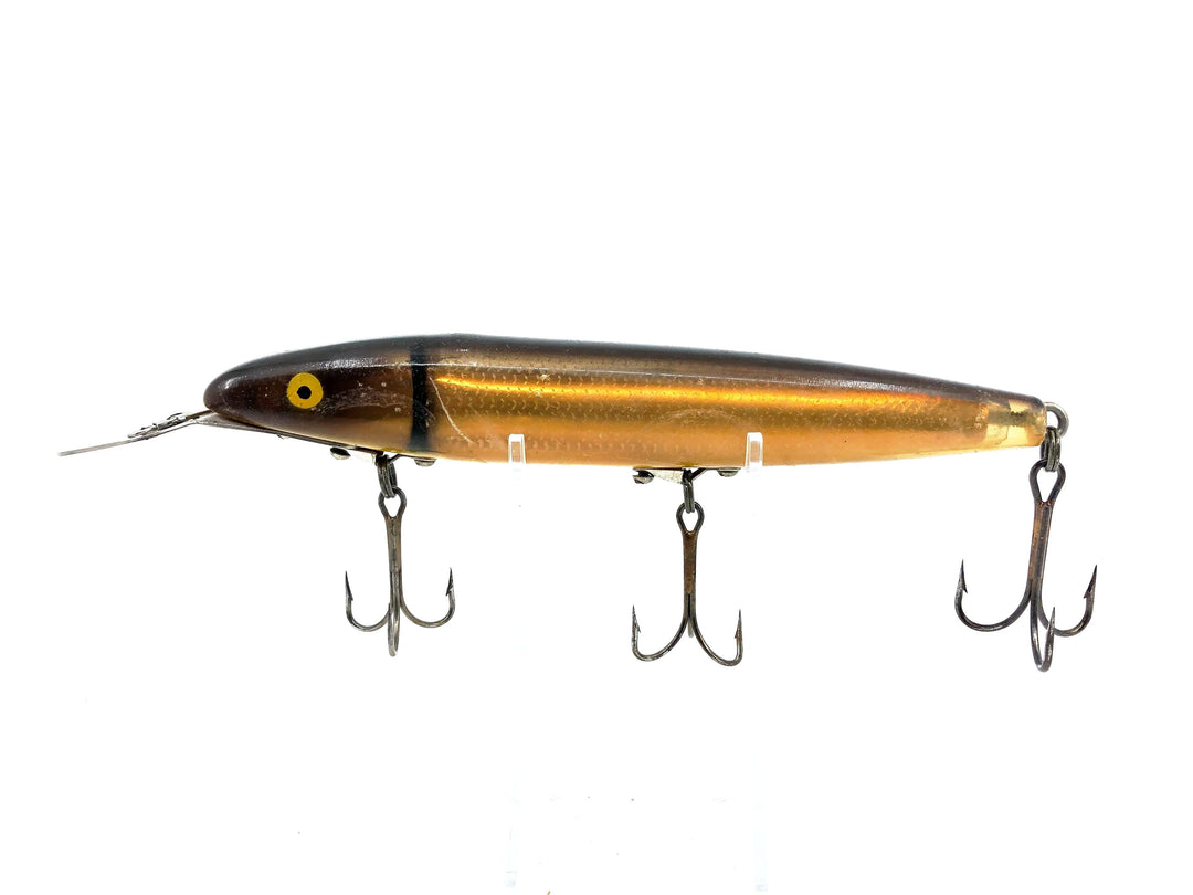 Cisco Kid 1800 Series Super Husky, Brown/Gold Color