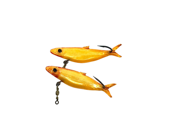Ely Flipper minnow, Goldfish Color