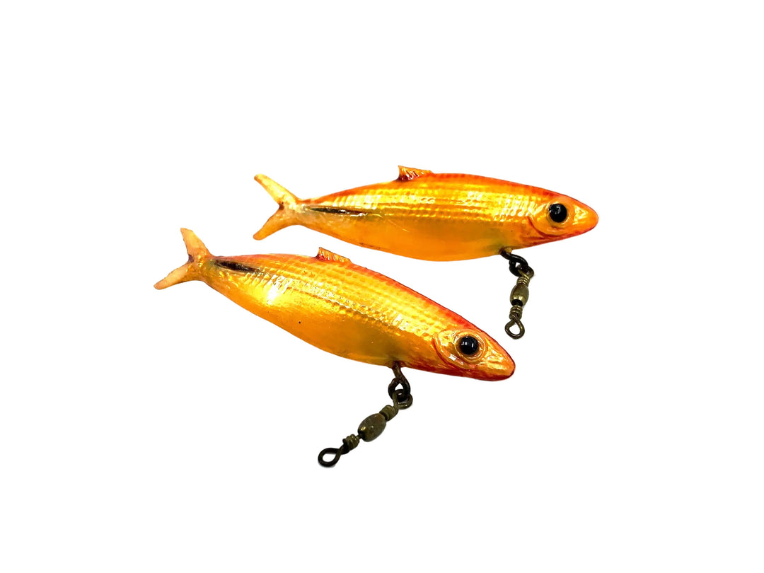 Ely Flipper minnow, Goldfish Color