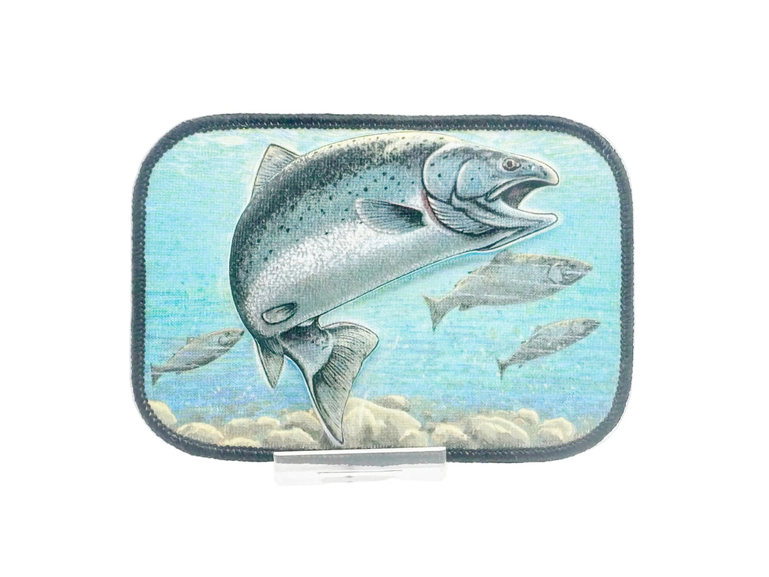 3D Salmon Patch