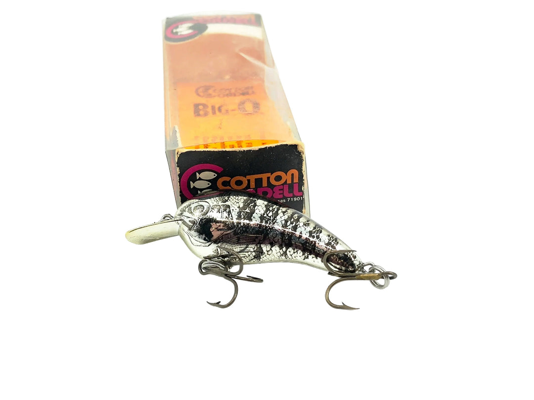 Cotton Cordell 7800 Big-O, #04 7804 Chrome Black/Photo Finish Color w/Box