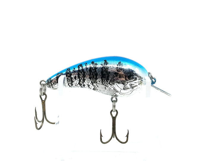 Cotton Cordell 7800 Big-O, Chrome Blue/Photo Finish Color
