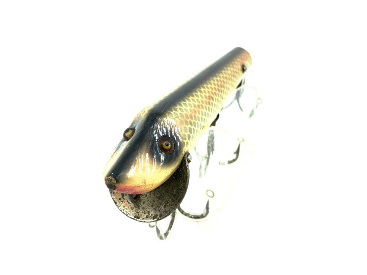 Heddon Vamp 7500, 9P Shiner Scale Color
