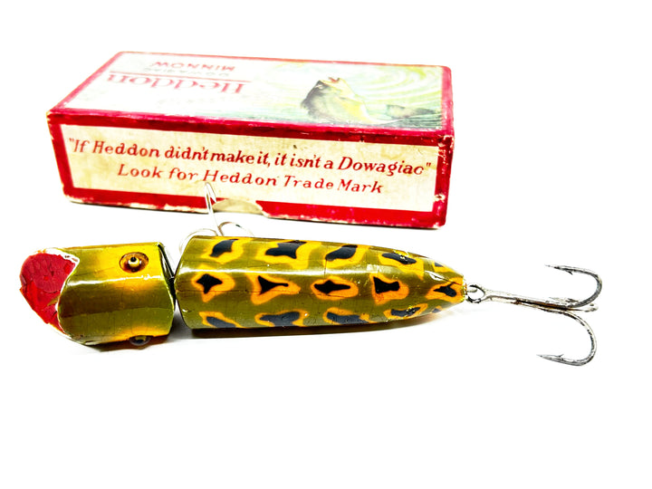 Heddon Zig Wag in Luny Frog Color with Down Leaping Bass Box