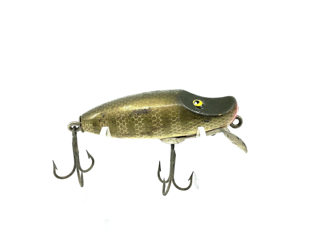 Paw Paw 9100 Series, Pike Scale Color
