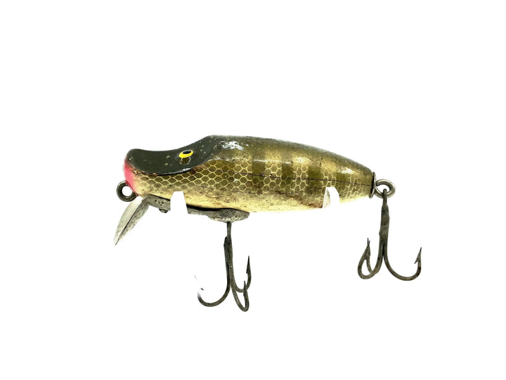 Paw Paw 9100 Series, Pike Scale Color