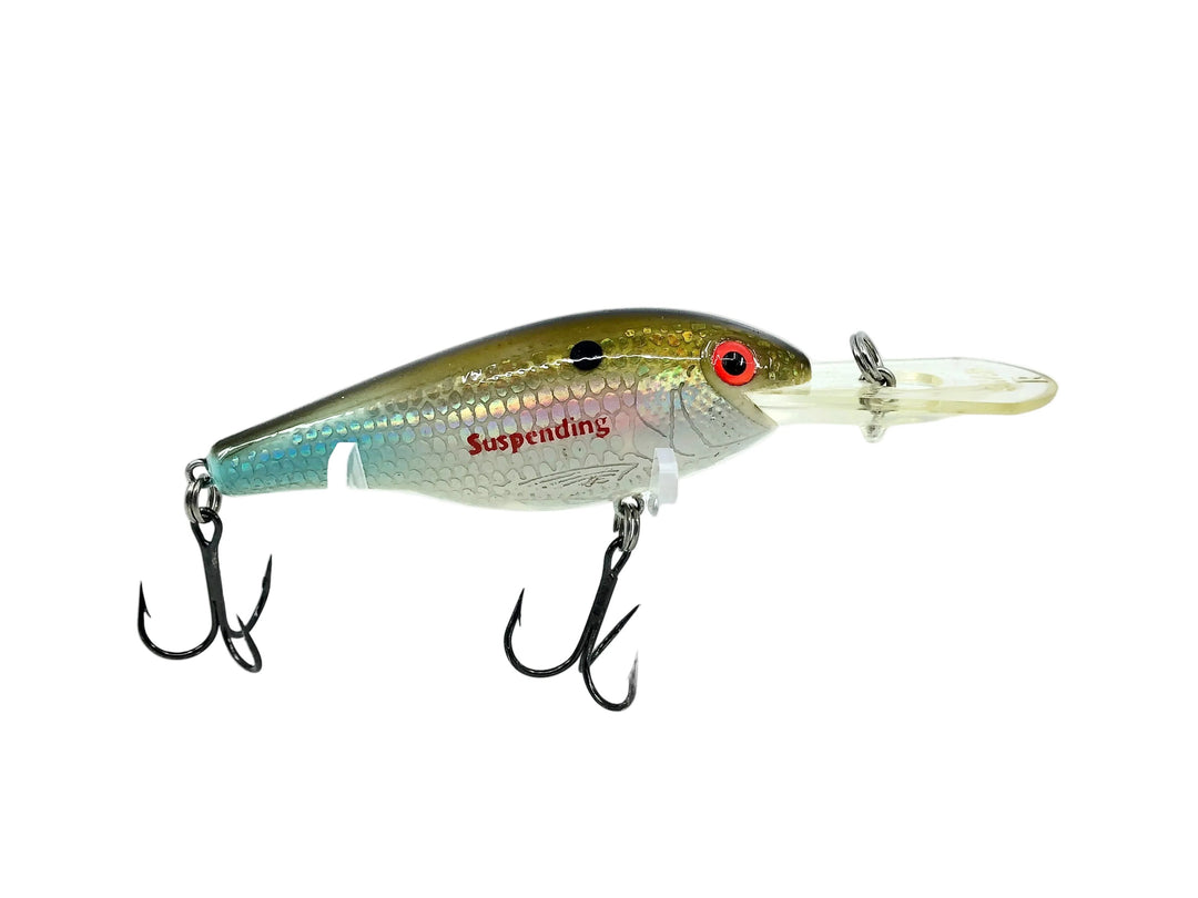 Rebel Excalibur Shad R, Bream Color