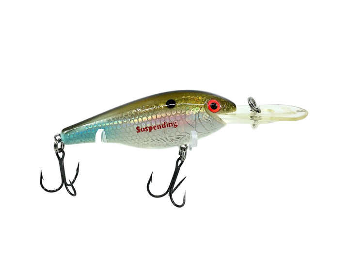 Rebel Excalibur Shad R, Bream Color