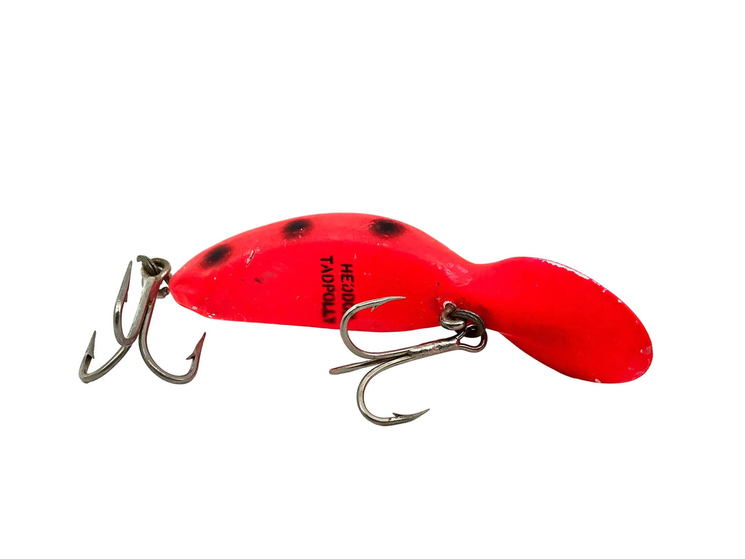 Heddon Tadpolly Spook, RFB Spotted Redhorse Color